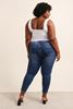 Picture of CURVY GIRL RIPPED STRETCH JEANS